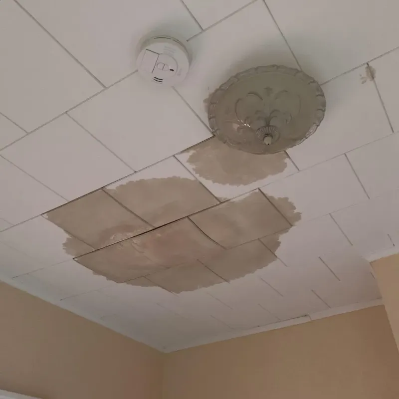 Ceiling Water Damage Repair in Hampton Beach, NH